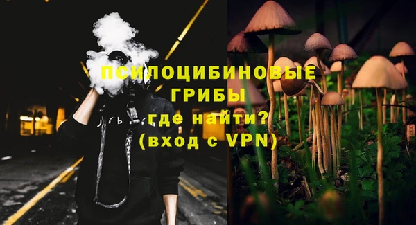 герыч Ельня
